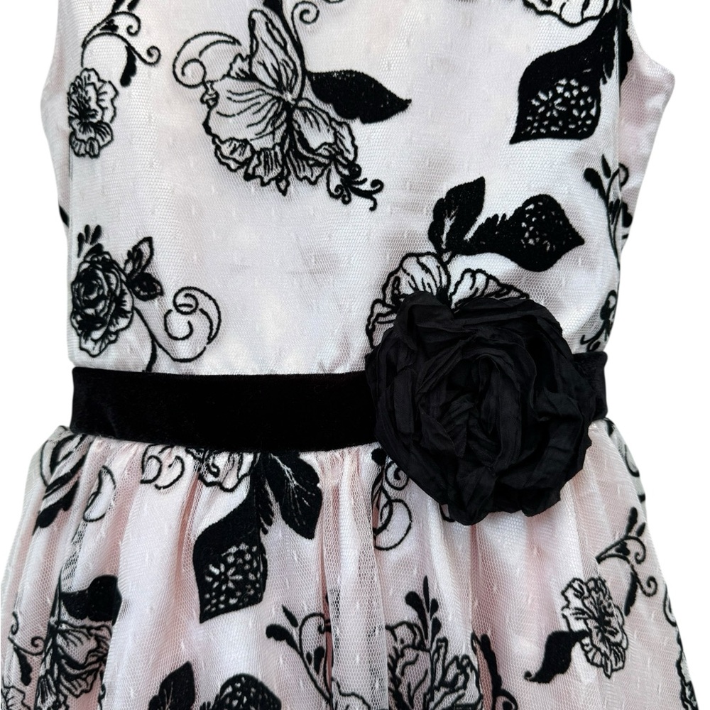 Younghearts Pink Tulle Dress with Velvet Floral Overlay size 10 - Picture 4 of 10